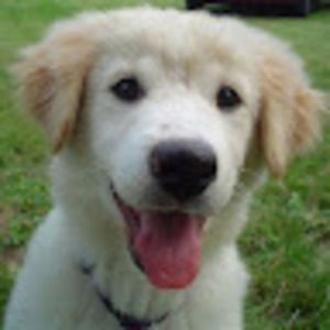 Meet your Posher, Janet